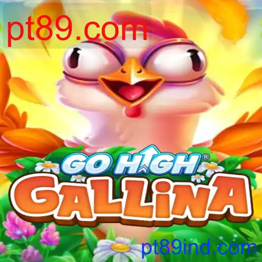 GoHighGallina